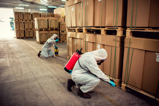 Best Bed Bug Extermination  in Bolinas, CA
