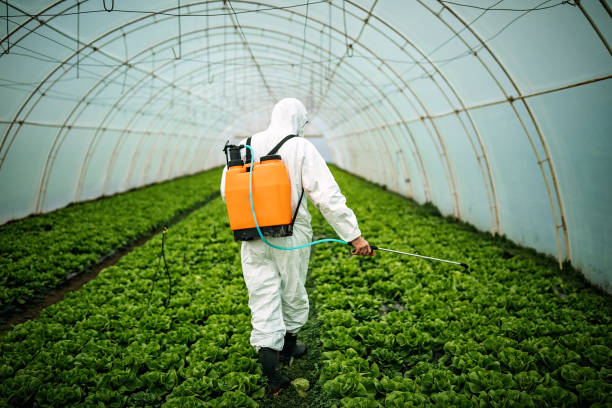 Best Local Pest Control Services  in Bolinas, CA