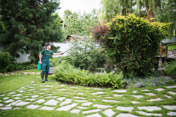 Best Pest Prevention Services  in Bolinas, CA