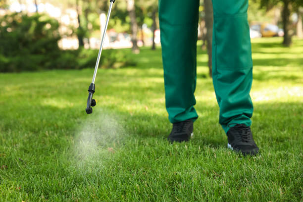 Best Residential Pest Control  in Bolinas, CA