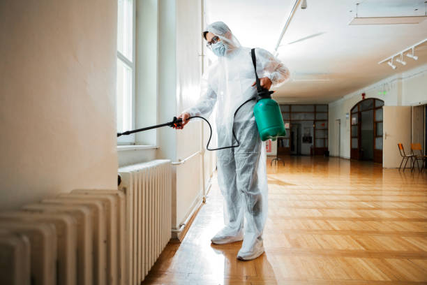 Flea Control Services in Bolinas, CA
